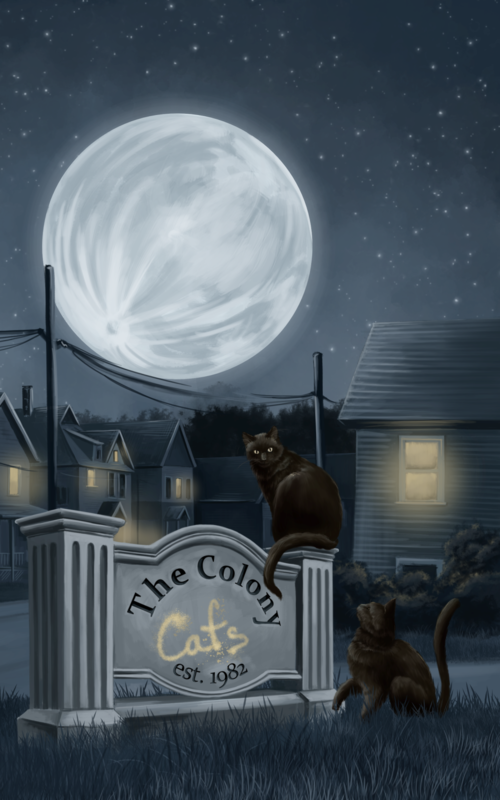 The Colony Cats book cover